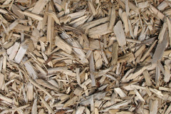 biomass boilers Humberston Fitties